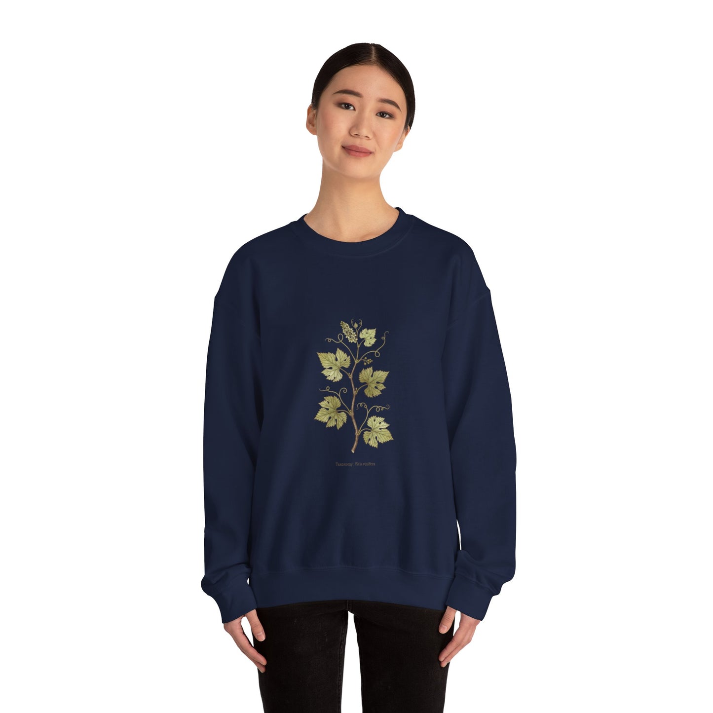Herbarium Botanical Specimen Sweatshirt | vintage plant sheet, labeled flora art