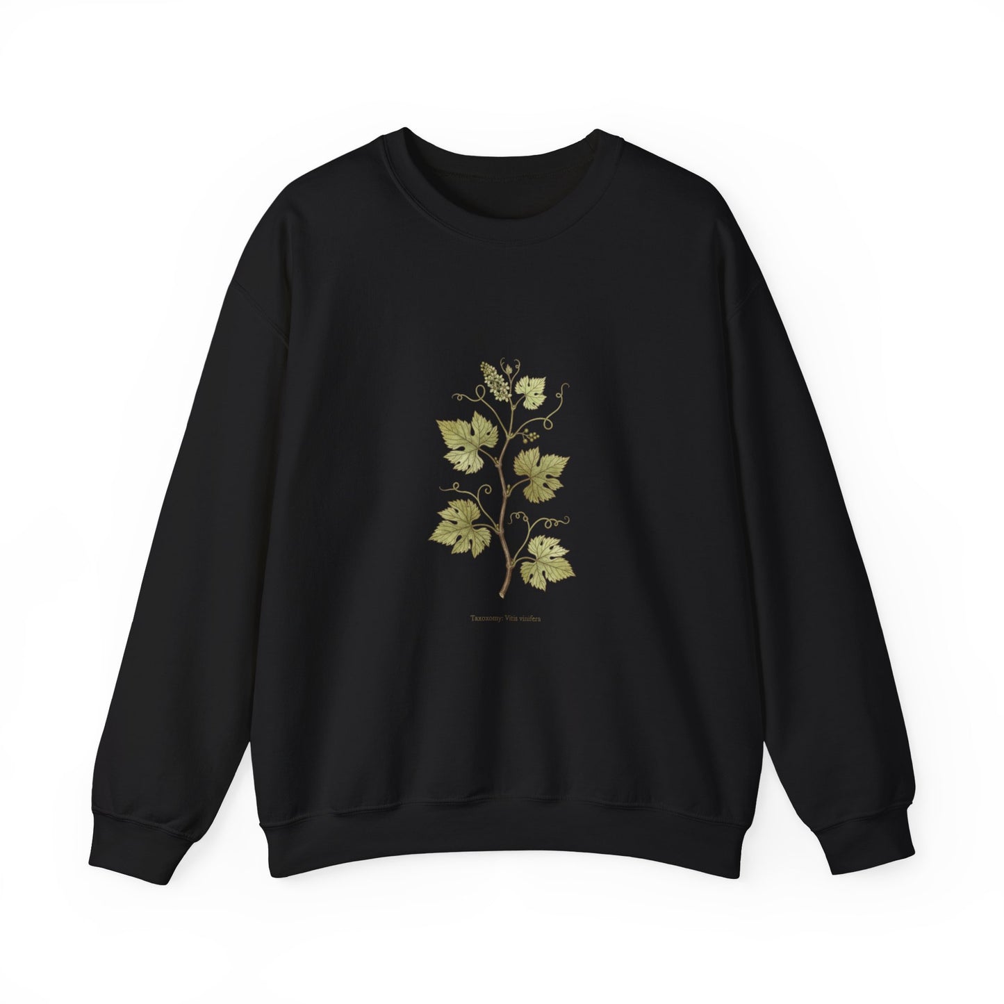 Herbarium Botanical Specimen Sweatshirt | vintage plant sheet, labeled flora art