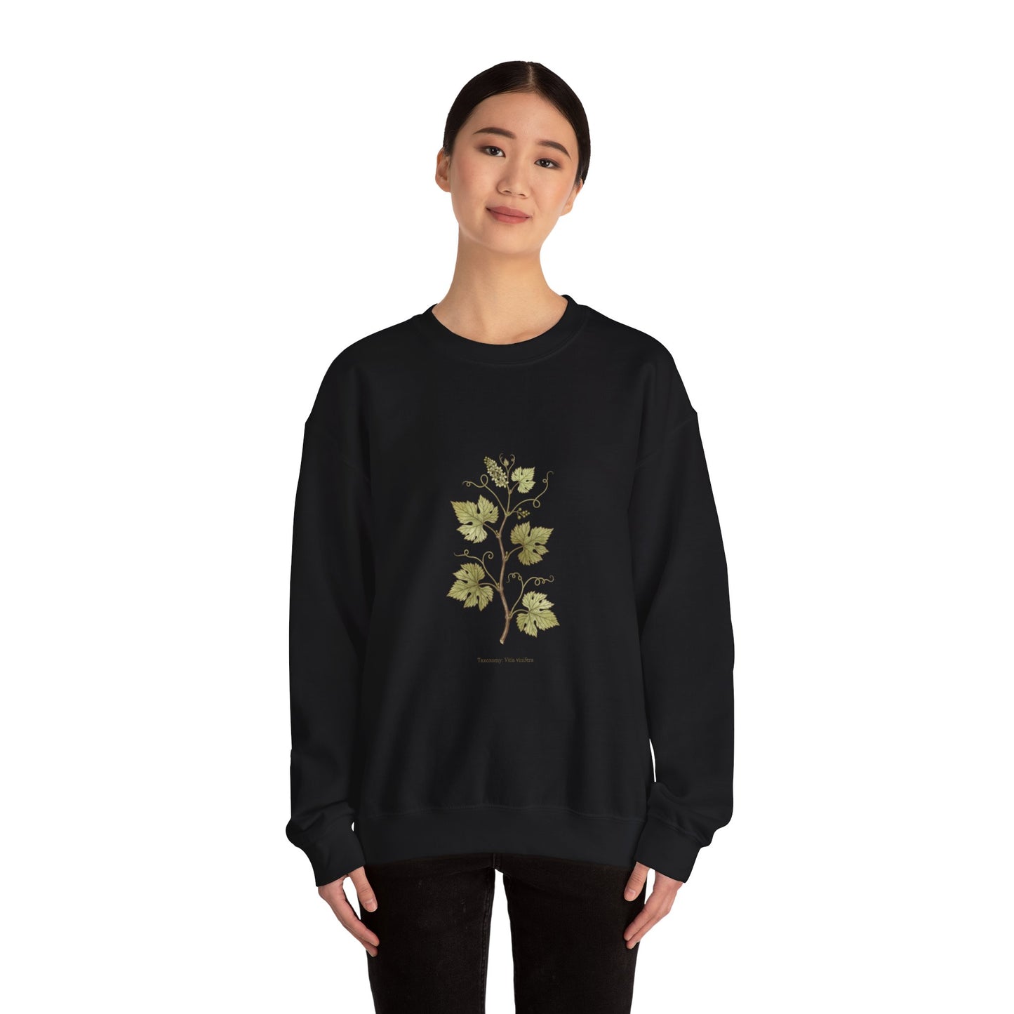 Herbarium Botanical Specimen Sweatshirt | vintage plant sheet, labeled flora art