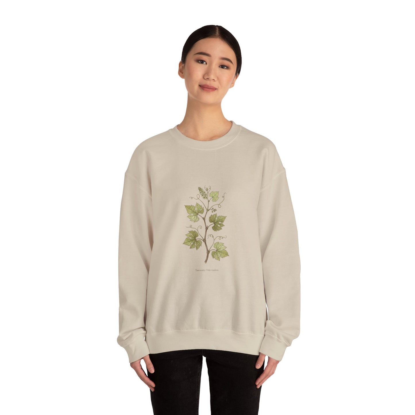 Herbarium Botanical Specimen Sweatshirt | vintage plant sheet, labeled flora art