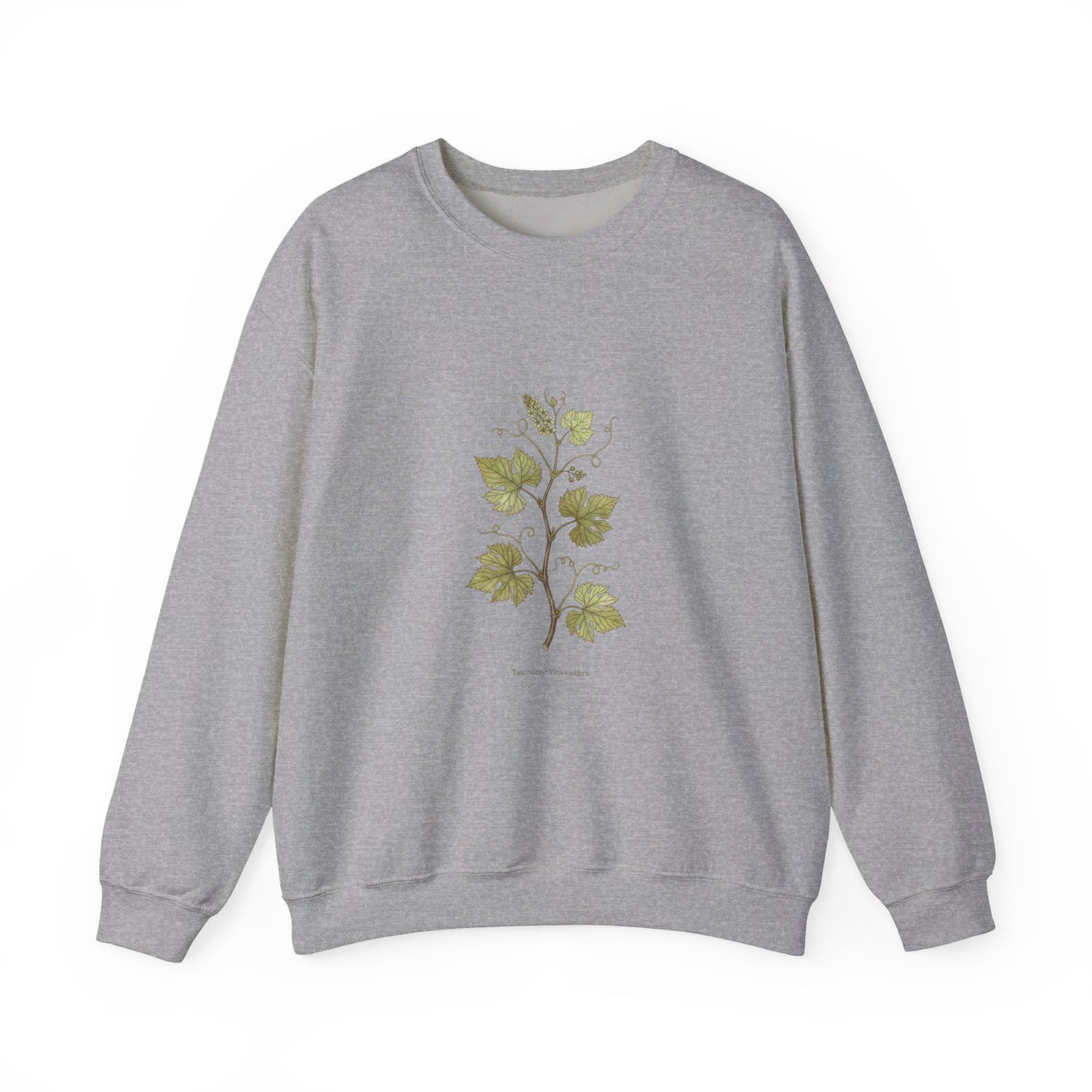 Herbarium Botanical Specimen Sweatshirt | vintage plant sheet, labeled flora art