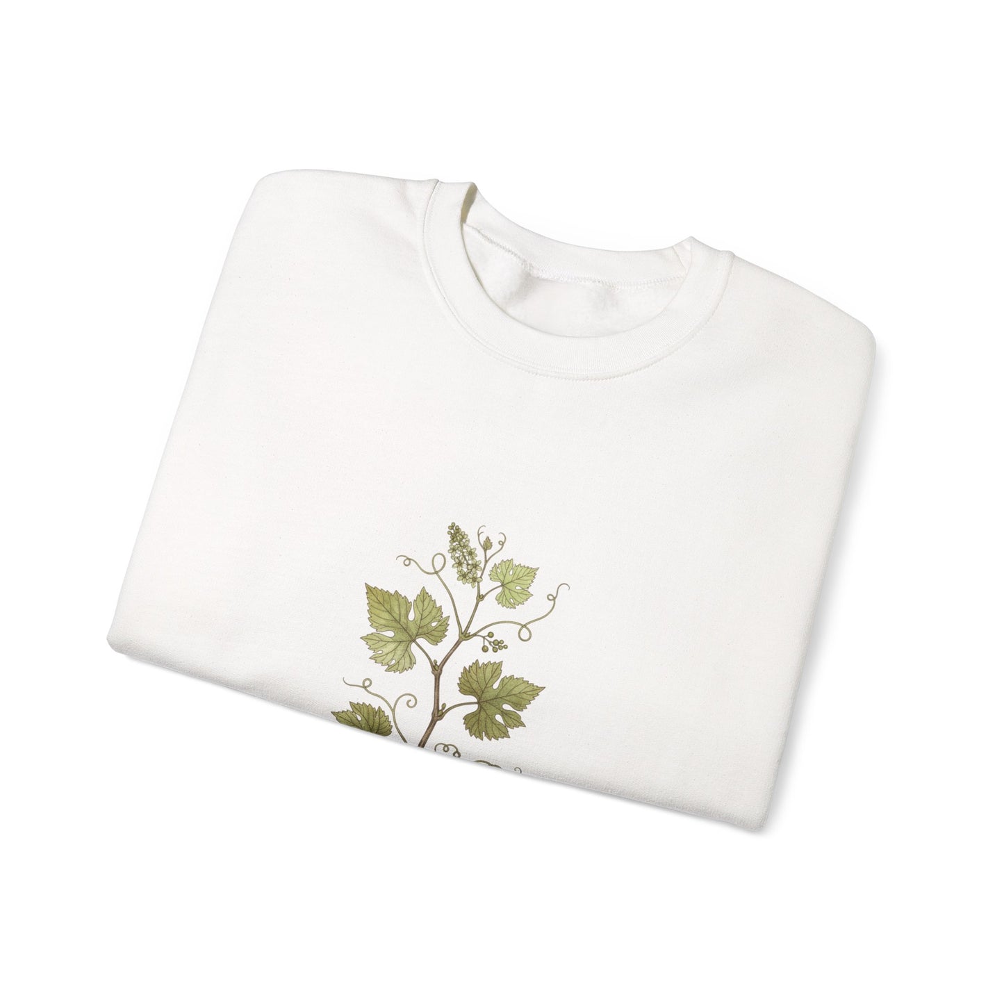Herbarium Botanical Specimen Sweatshirt | vintage plant sheet, labeled flora art