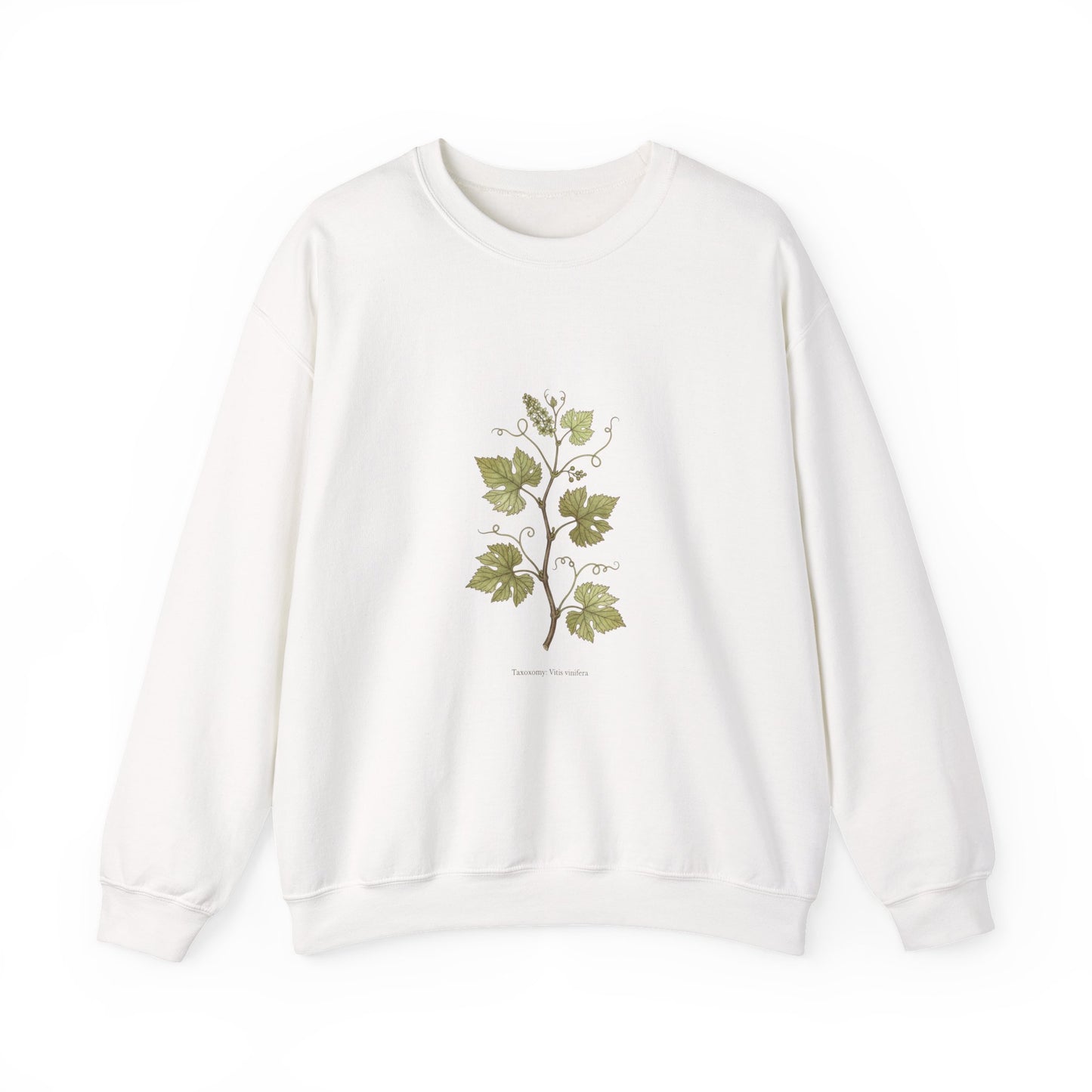 Herbarium Botanical Specimen Sweatshirt | vintage plant sheet, labeled flora art