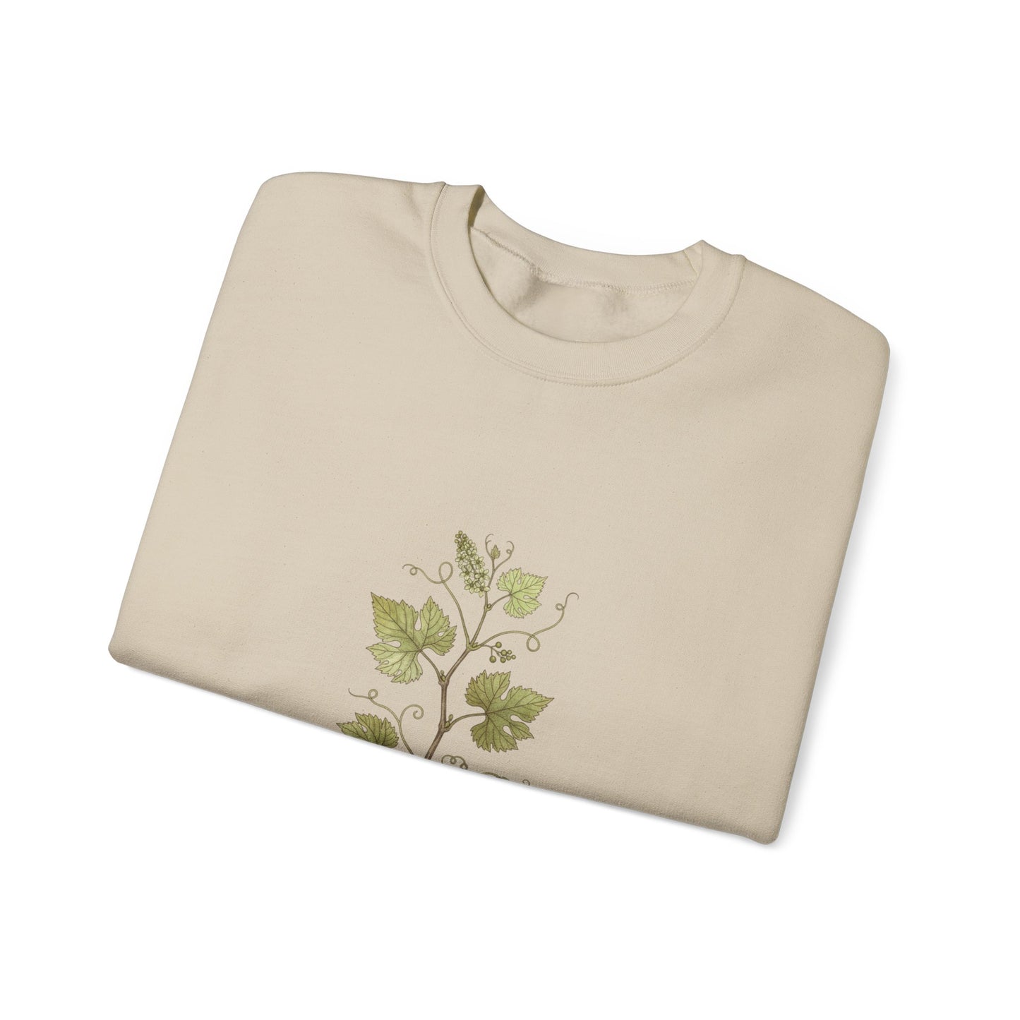 Herbarium Botanical Specimen Sweatshirt | vintage plant sheet, labeled flora art