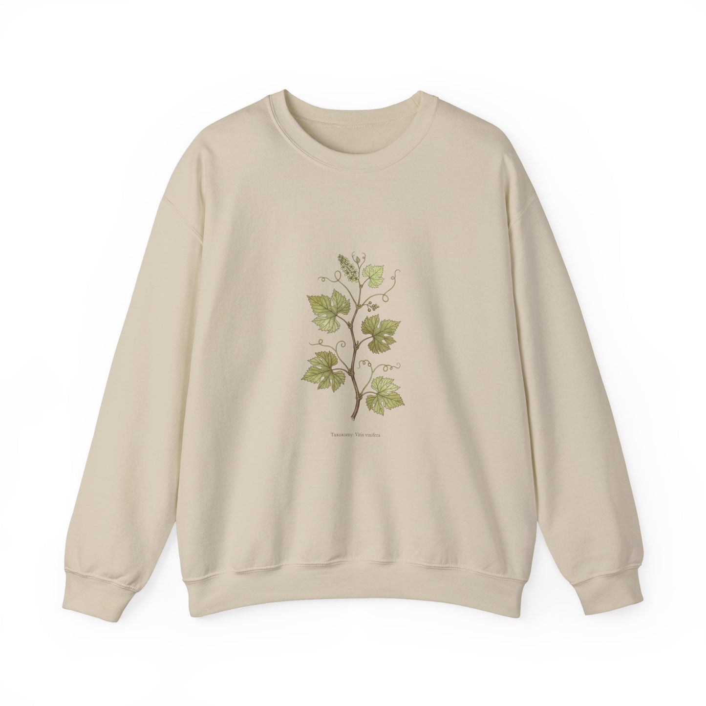 Herbarium Botanical Specimen Sweatshirt | vintage plant sheet, labeled flora art