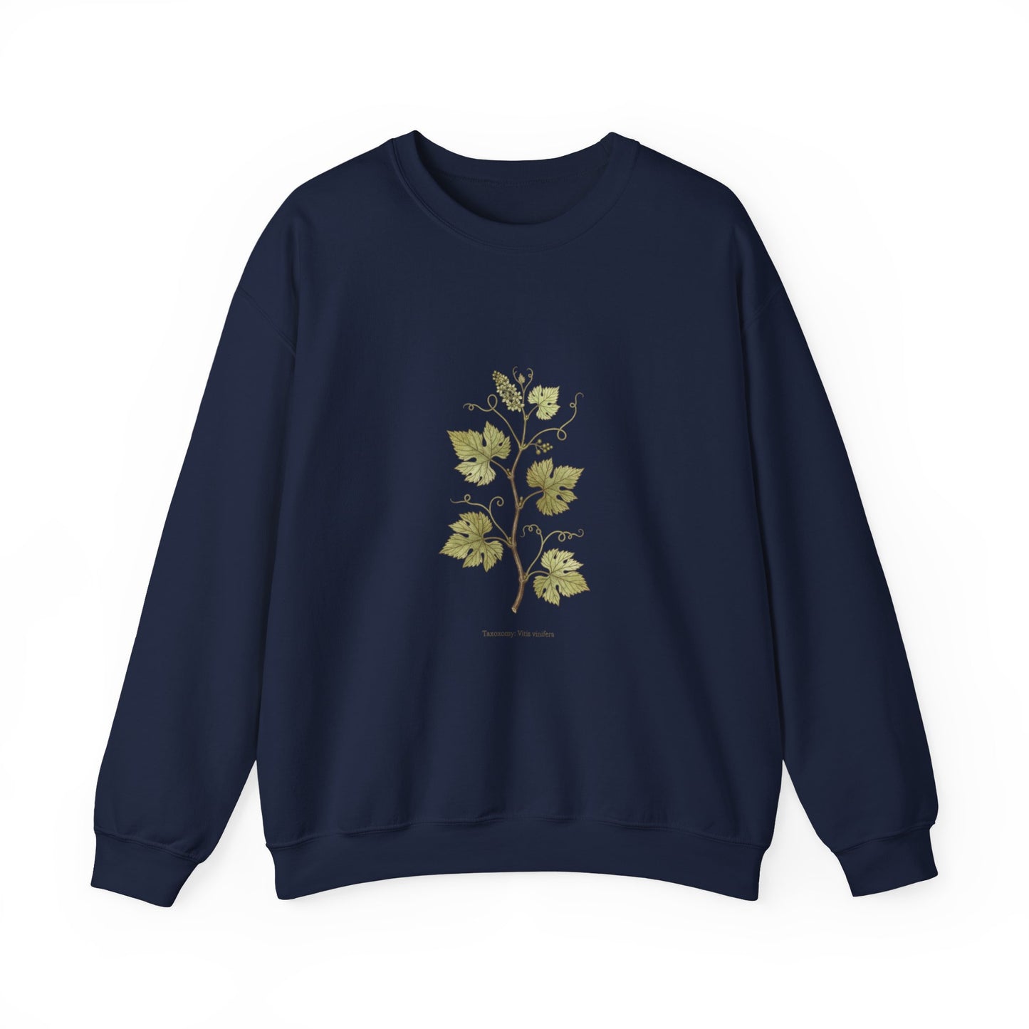 Herbarium Botanical Specimen Sweatshirt | vintage plant sheet, labeled flora art