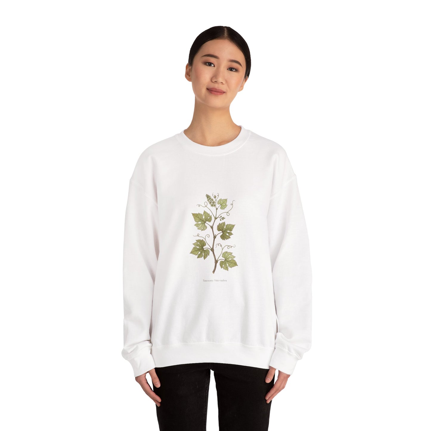 Herbarium Botanical Specimen Sweatshirt | vintage plant sheet, labeled flora art